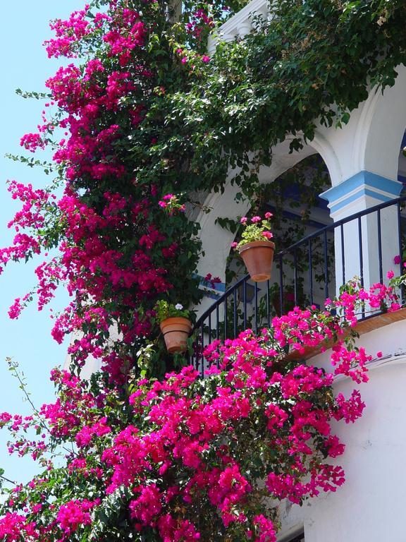 Pierre & Vacances Mojacar Playa Экстерьер фото